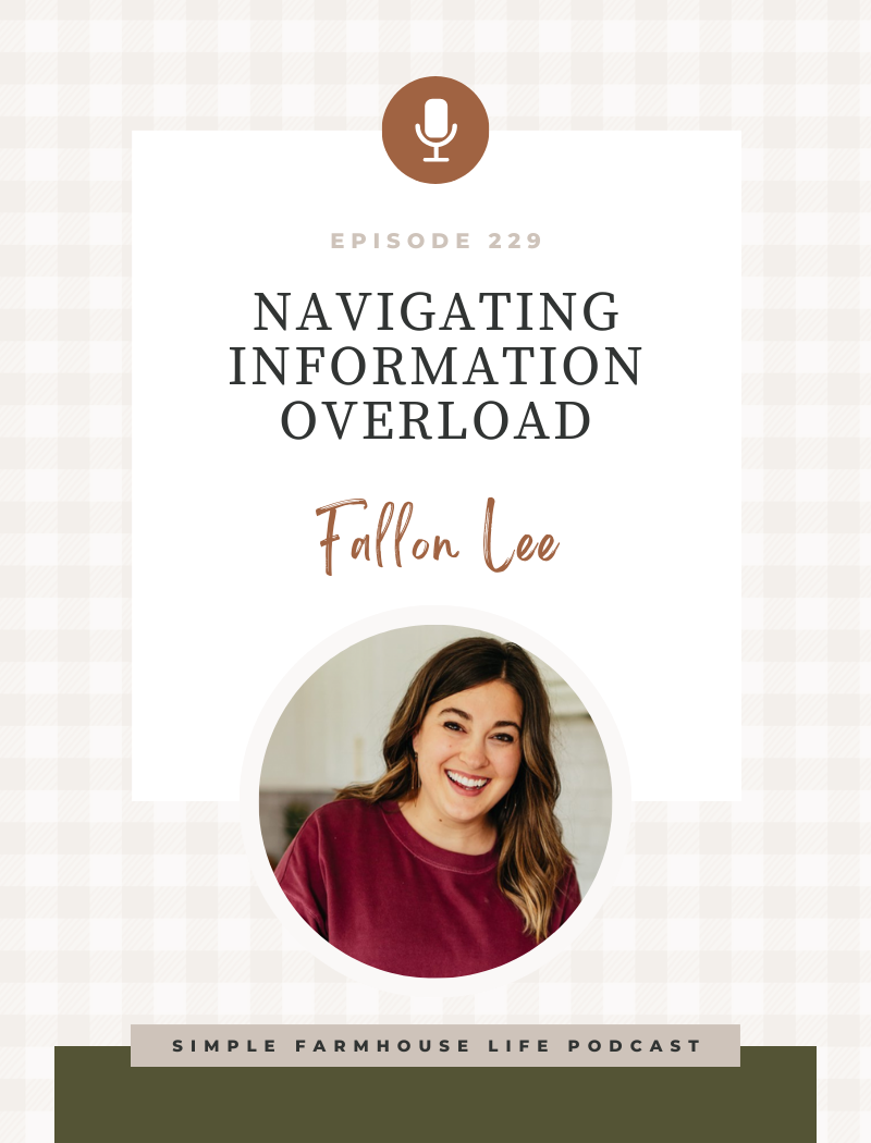 Episode 229 | Navigating Information Overload, Using Discernment, and Making Sustainable Changes | Fallon Lee