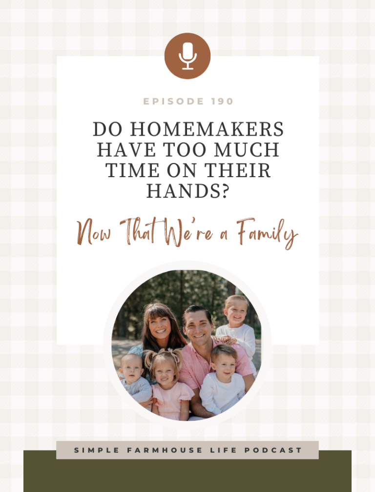 Episode 190 | Do Homemakers Have Too Much Time on Their Hands? | Katie of Now That We’re a Family