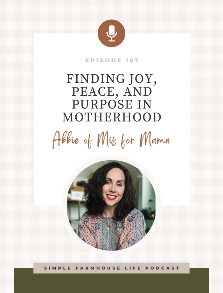 Episode 197 | Be a Countercultural Mom: Finding Joy, Peace, and Purpose in All Seasons of Motherhood | Abbie Halberstadt of M is for Mama